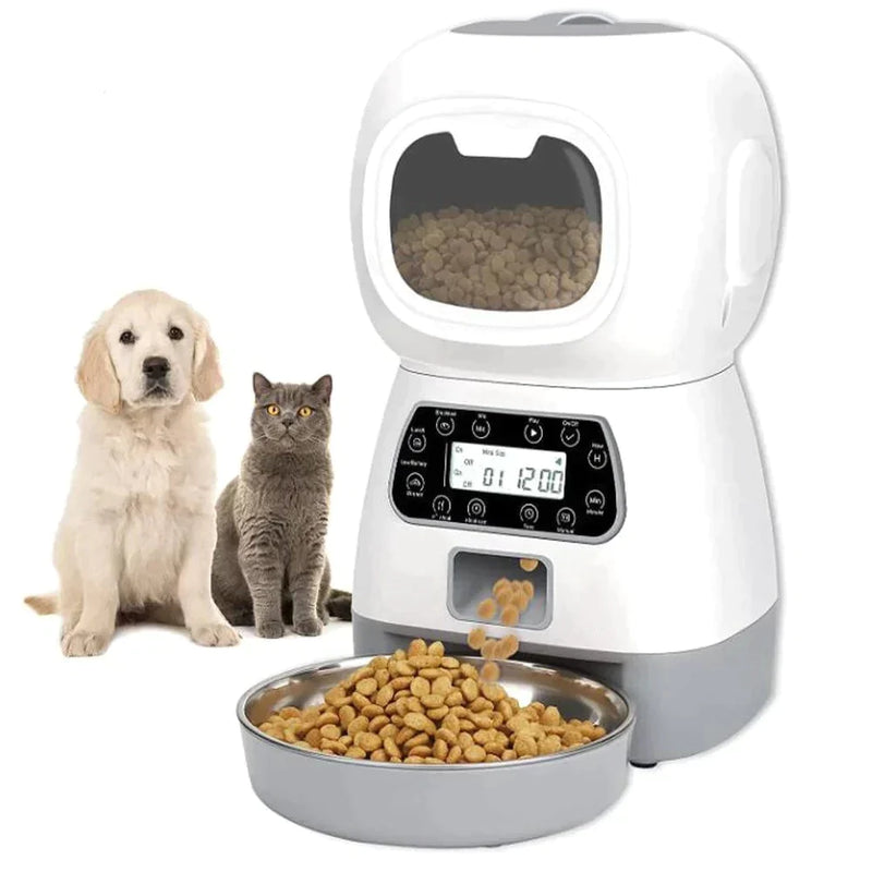 Alimentador Automático para Cães e Gatos - Seu Bene Express