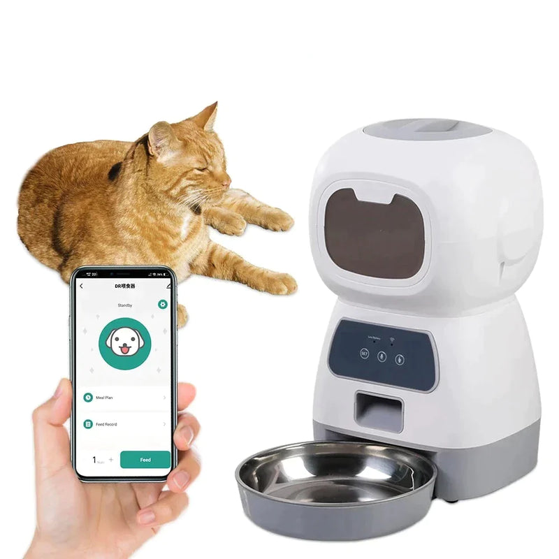 Alimentador Automático para Cães e Gatos - Seu Bene Express